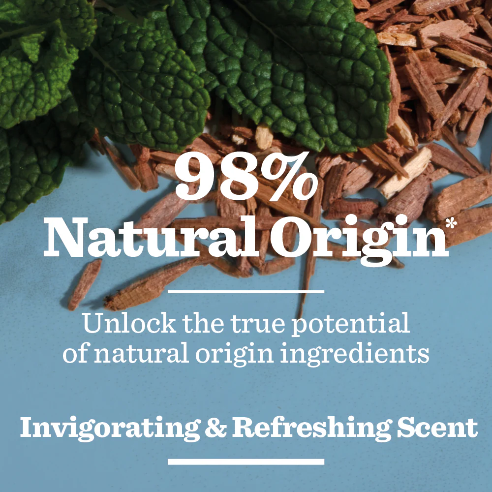 Fresh Mint & Cedarwood Spray Deodorant - Image 4