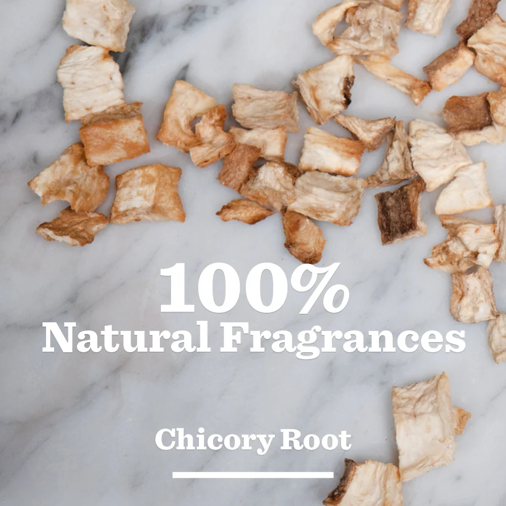 Original Shampoo - Image 3