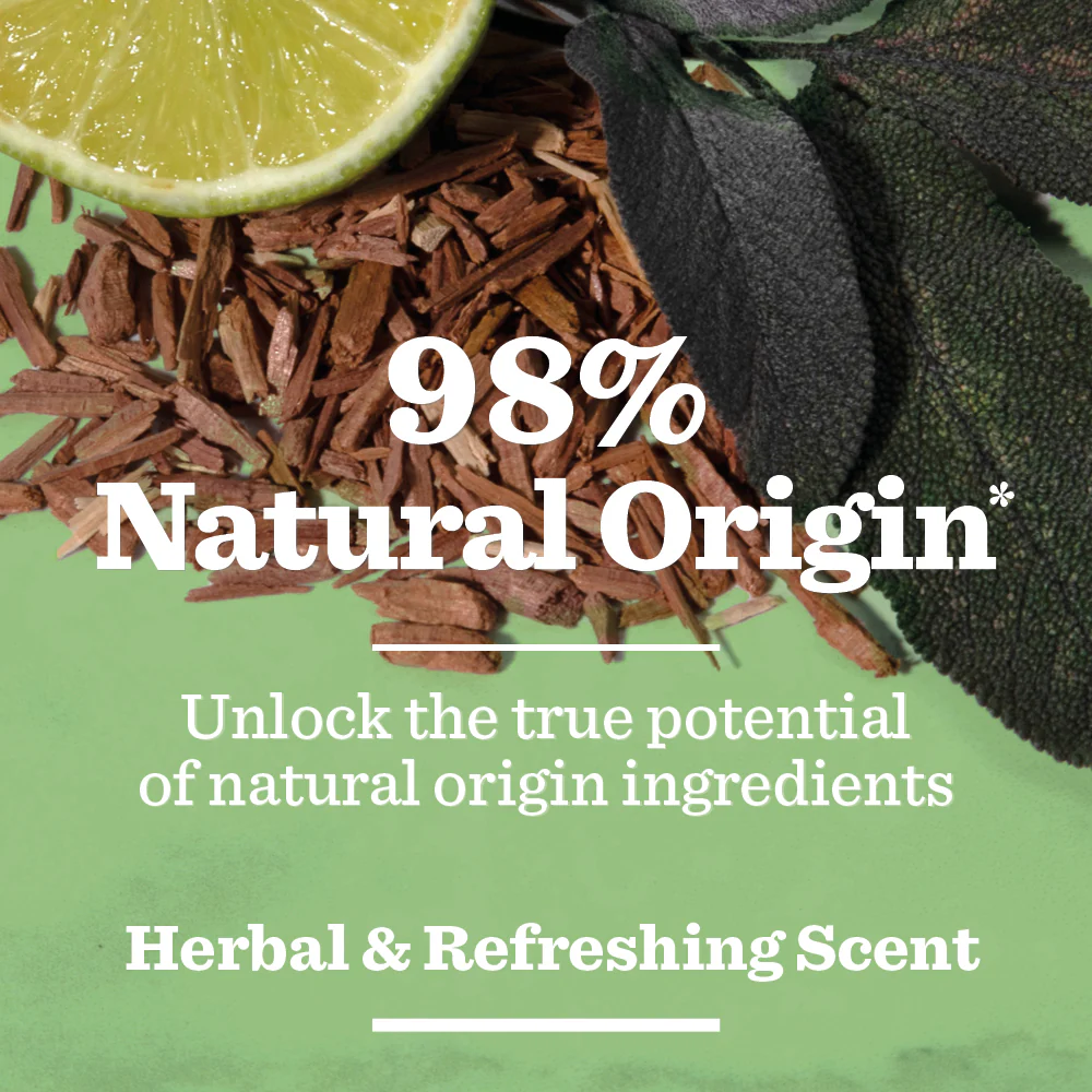 Original Spray Deodorant Bundle - Image 5